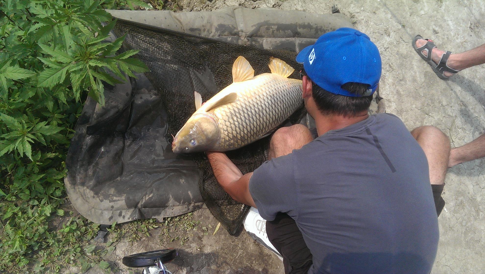 Hermes Peris 22 - 23 iunie 2014 - imag11541.jpg